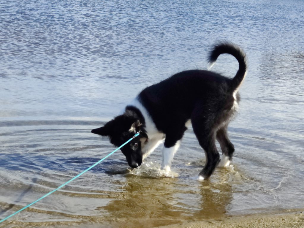 Eerste keer bij het water