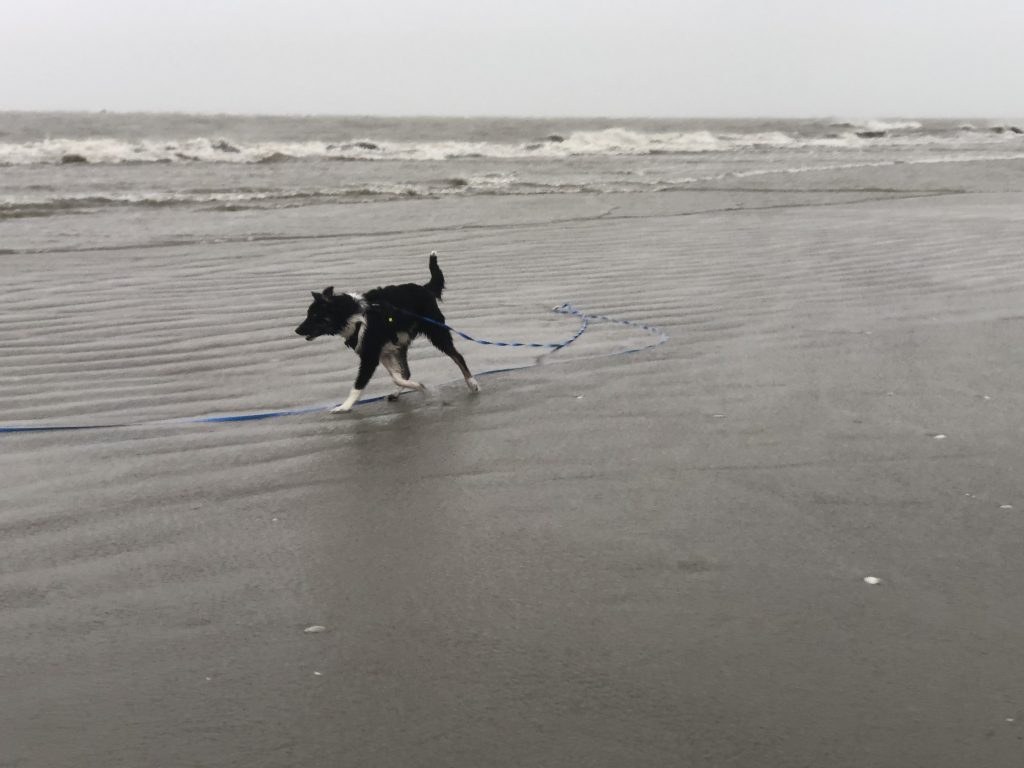 1e keer op het strand